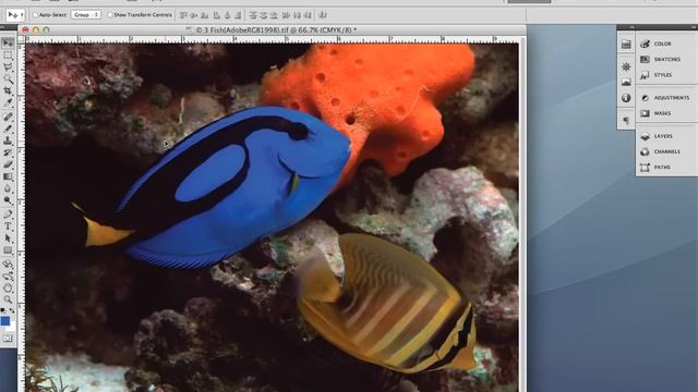 Proof Colors In Photoshop