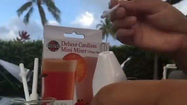 DIY: Makeup Mixer (Deluxe Cordless Mini Mixer) (NorPro)