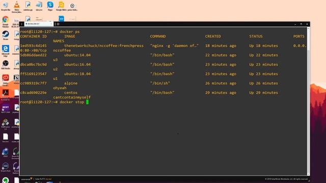 How to Start and Stop Docker Containers? смотреть онлайн