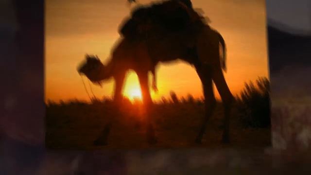 Desert Safari Dubai, Best Desert Safari Dubai Deals, Dubai City Tours смотреть онлайн
