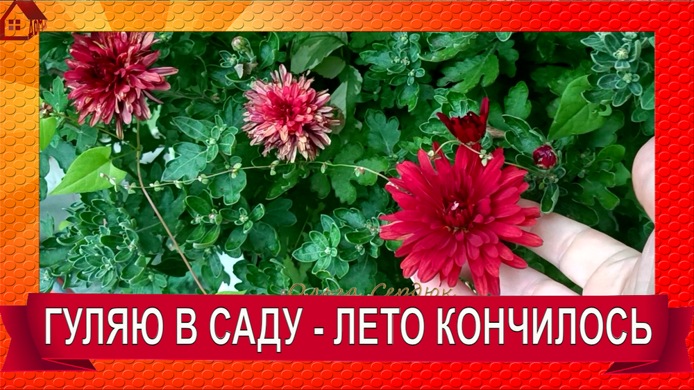 КОНЕЦ ЛЕТА( 31 августа прогулка - по саду.Здравствуй осень! С 1 сентября, друзья! смотреть онлайн