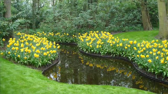 KEUKENHOF 2011 HOLLAND. Парк цветов в Голандии.