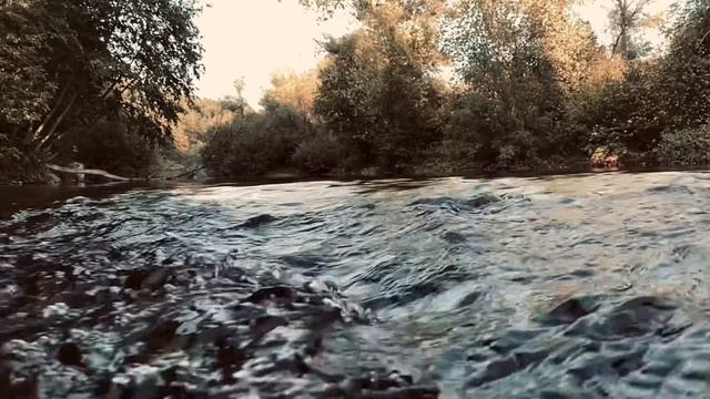 Река белая 21 августа смотреть онлайн