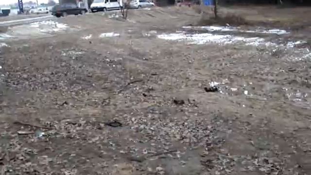 В Брянске разбился полицейский