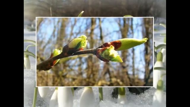 весна прекрасная пора New Life смотреть онлайн