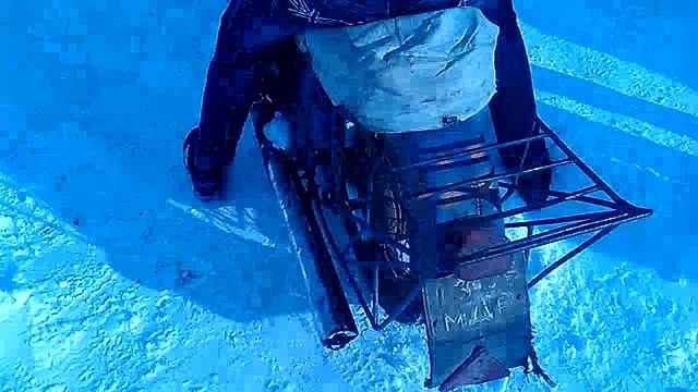 Иж зимний зверёк смотреть онлайн