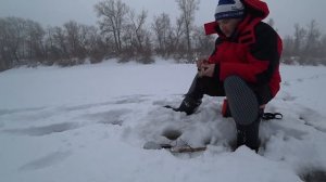 Ловля судака на нарезку зимой. Рыбалка на жерлицы