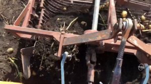 Японский минитрактор копает картошку