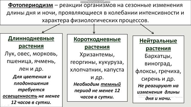 Влияние экологических факторов на живые организмы (биология 9 класс). Учитель: К. А. Высоцкая смотреть онлайн