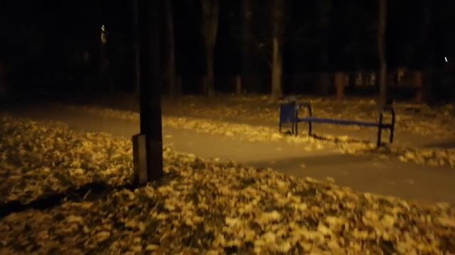 НОЧНАЯ ПРОГУЛКА || ОСЕНЬ В ГОРОДЕ МИНСК || ОКТЯБРЬ || БЕЛАРУСЬ ВО ВСЕЙ КРАСЕ #autumn #belarus #mins смотреть онлайн