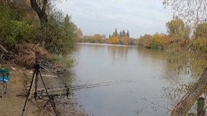 Рыбалка в Темрюке  Основные моменты