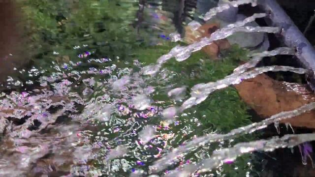 Увеличение фильтрации. Форсаж. смотреть онлайн