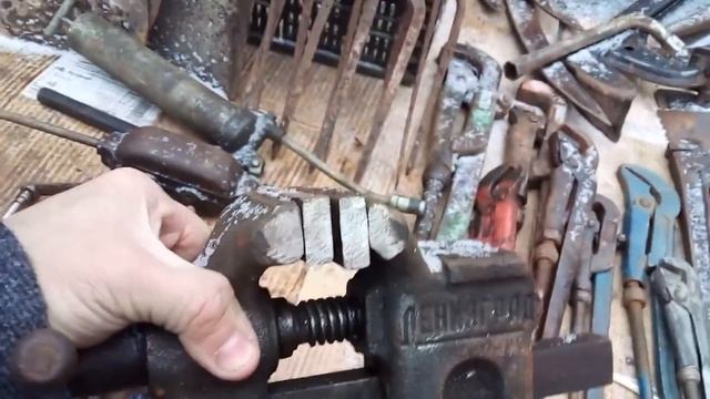 Блошиный Кёнигсберг