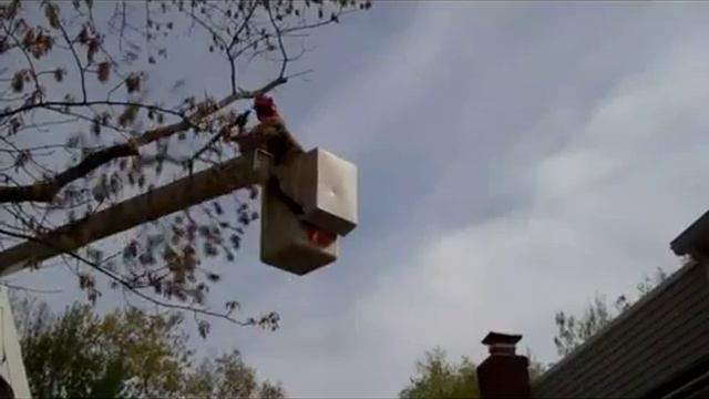 Kent County Tree Service, Inc. смотреть онлайн