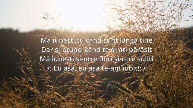 Tudor Oleniuc - Mă iubești? (cover) смотреть онлайн