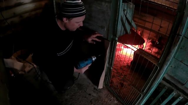 СОДЕРЖАНИЕ МЕСЯЧНЫХ ИНДЮШАТ на полу//ЧЕМ МЫ КОРМИМ МОЛОДНЯК?//деревенские будни смотреть онлайн