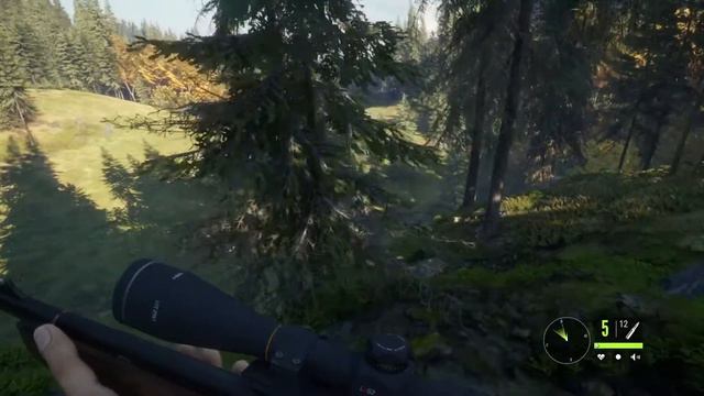 TheHunter Call Of The Wild №5 - Доктор Зубров.