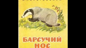 Барсучий нос