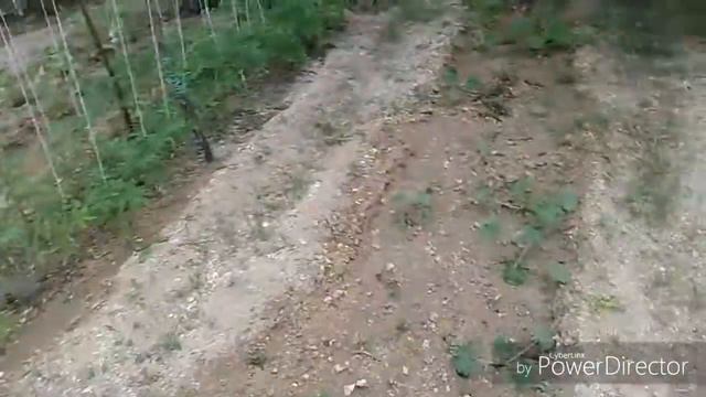 //влог\\  $дача$