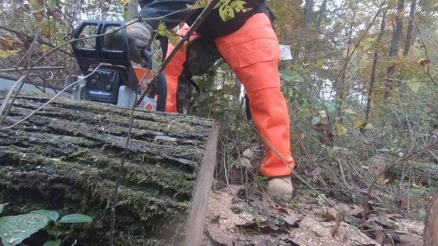 #58 Sunday Split with the Stihl MS250 смотреть онлайн