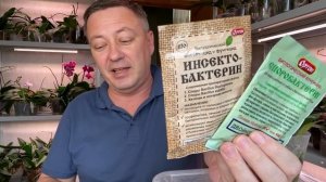 ОРХИДЕИ в ПЛЕСЕНИ БЕЛОЙ чем и как обработать