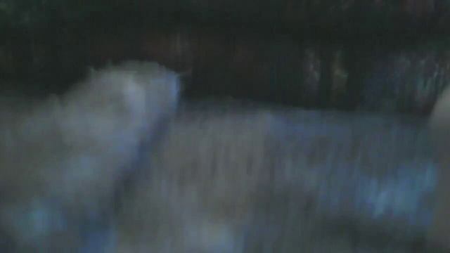 Стоп моушен обычный выходной Илезобет 1 часть смотреть онлайн