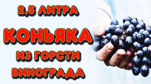 2,5 литра коньяка из горсти винограда. Рецепт мацерата для приготовления домашнего коньяка