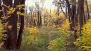 Муж увидел,как его жену...Измена жены.Истории любви и измен.Интересные истории из жизни. Рассказы