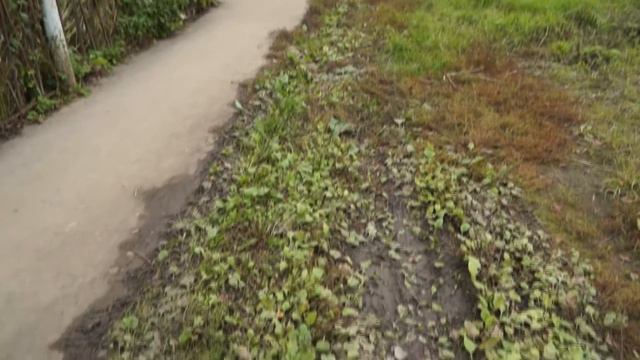 Реализация проекта "Город, в котором хочется жить" | ул. Перекопская смотреть онлайн