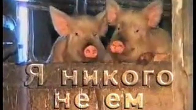 Самосы с паниром. Я никого не ем смотреть онлайн