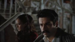 Королёк Птичка Певчая //Kinglet Singing Bird 7 серия