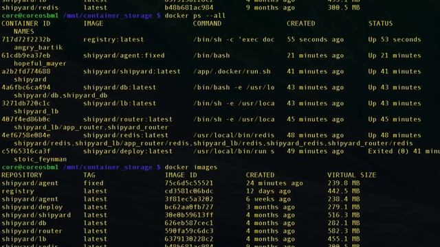 Running a Private Docker Registry Container смотреть онлайн