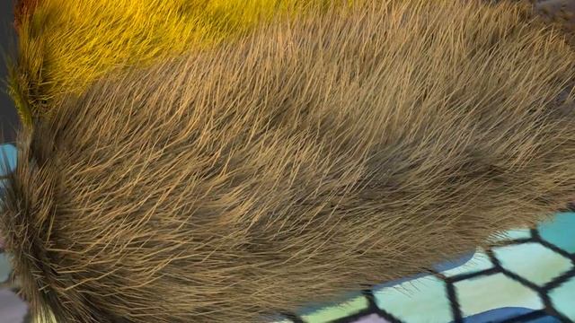 Эксперименты с шерстью в Unity 3d смотреть онлайн