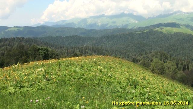 На хребте Мамдзышха 16.06.2014 смотреть онлайн
