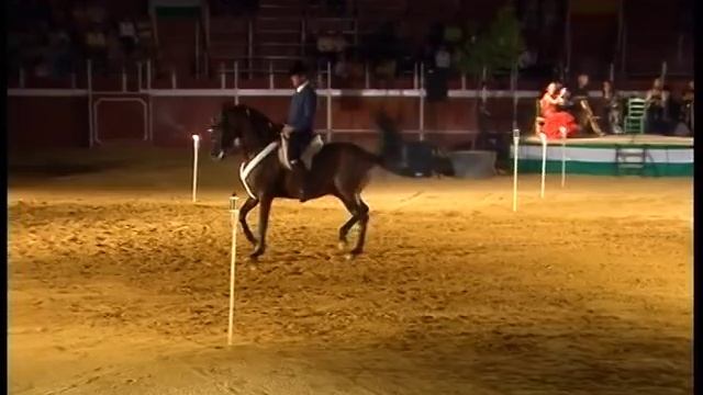 baile flamenco con caballos de raquel villegas смотреть онлайн