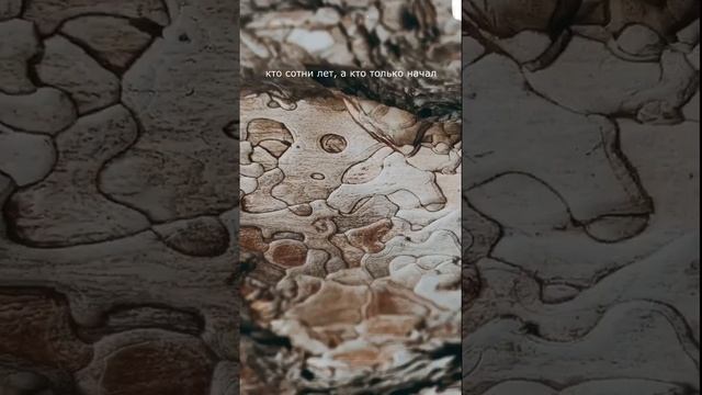 Отрывок из стихотворения "Поговорим о красивом" смотреть онлайн