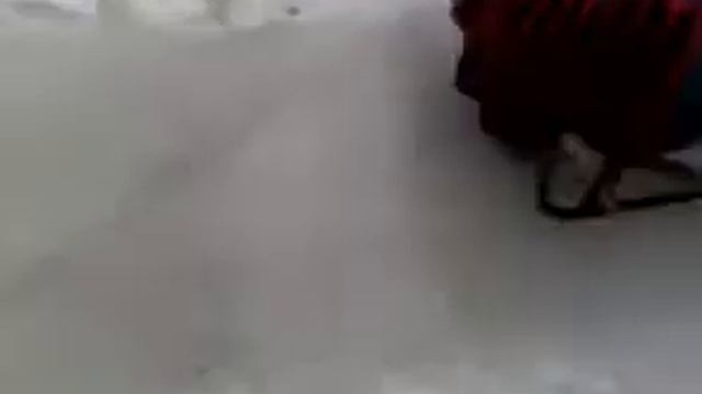 катание на санках прикол смотреть онлайн