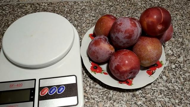 Диплоідна слива Оцарк Прем'єр 2021 смотреть онлайн