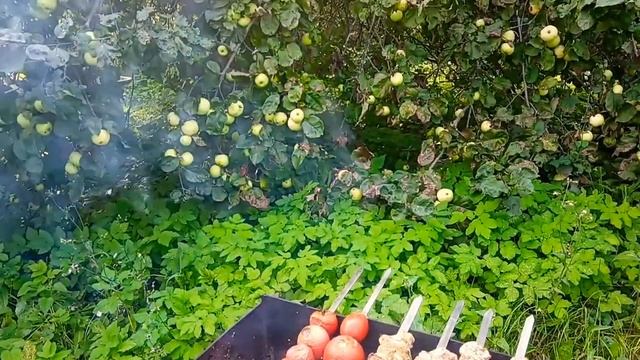 НА ДАЧЕ В ПОСЛЕДНИЙ ДЕНЬ ЛЕТА. УРОЖАЙ. смотреть онлайн