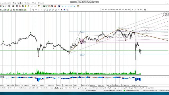 Включение по рынку 27-04 смотреть онлайн
