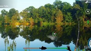 где поймать китайского окуня в my fishing world