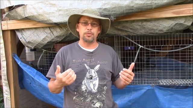 how to get more rabbits per litter? The SR Rabbit Update 10-18-16 смотреть онлайн