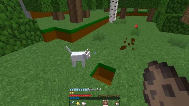 Minecraft Mod Review - Animals plus + Mo creatures Mod смотреть онлайн
