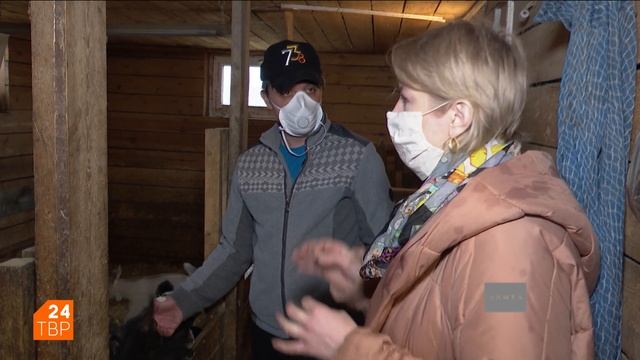 Фермер Максим Сабиров наращивает стадо мурсиано гранадина | Сергиево-Посадский округ смотреть онлайн