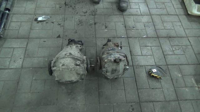 Грибы и тайны леса природы