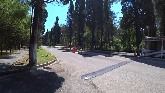 ПИЦУНДА- ЛУЧШИЙ ПЛЯЖНЫЙ КУРОРТ АБХАЗИИ! ЧТО ПОСМОТРЕТЬ? ГДЕ ПОЕСТЬ? НОЧЛЕГ НА УЛИЦЕ! смотреть онлайн