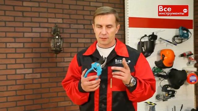 ✂ Как выбрать садовый секатор. #Секаторсадовый смотреть онлайн