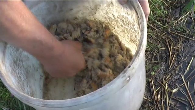 Рыбалка на Урефтах с 15 на 16 июня 2016г смотреть онлайн