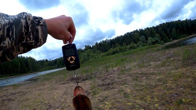 ВОТ ЭТО РЫБАЛКА! ПОПАЛИ НА КЛЕВ ЩУКИ смотреть онлайн