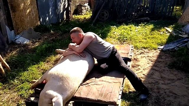 Прощание с другом смотреть онлайн